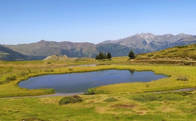 La zone humide du lac de Soum