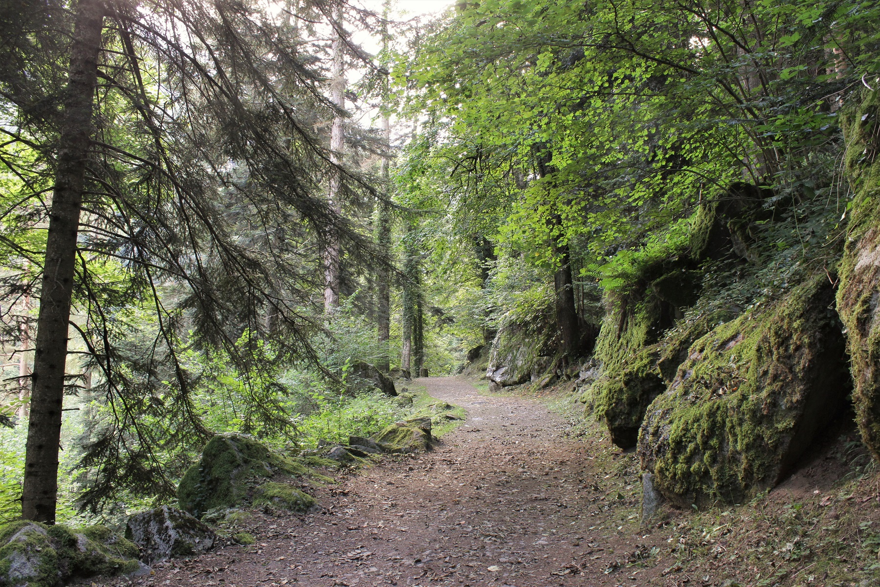 Le sentier Demontzey