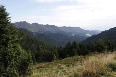 Vue sur la vallée du Bergons depuis l'itinéraire