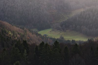 La vallée du Bergons