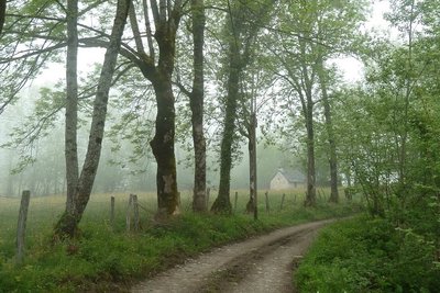 Piste du Bergons