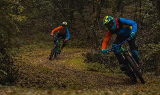 Descente en sous-bois