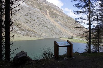 Versant boisé du tour du lac