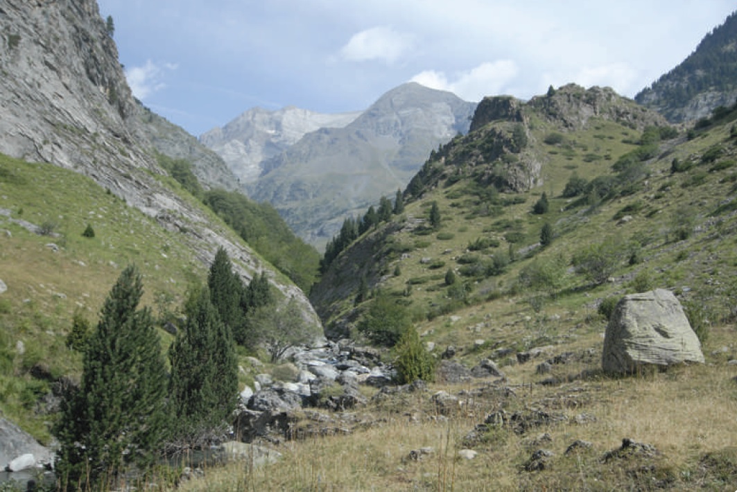 La vallée du rio Ara