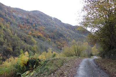 Voie verte entre Pierrefitte et Cauterets