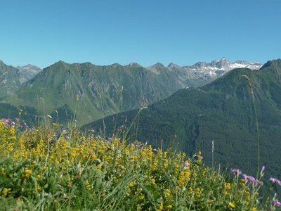 La montagne fleurie