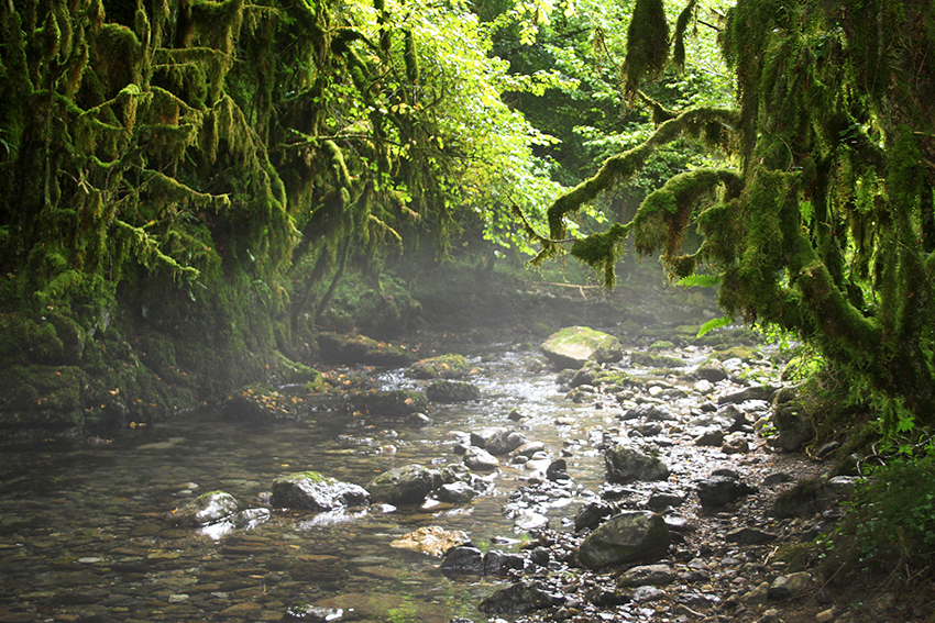 Rivière Arros à la Gourgue d'Asque
