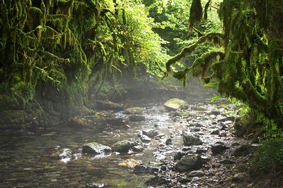 Rivière Arros à la Gourgue d'Asque