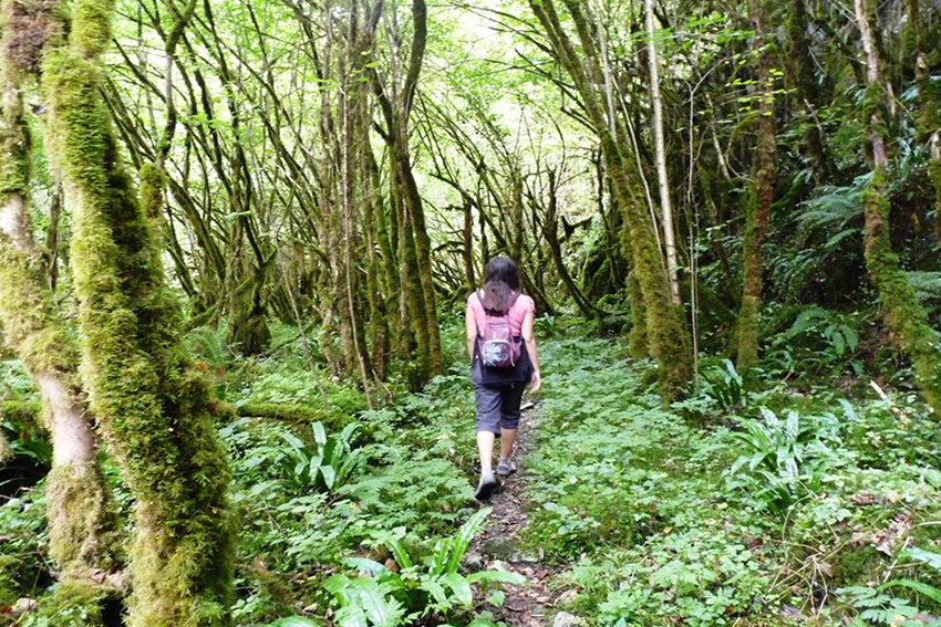 sentier d'interprétation d'Artiguemy - © OT Cœur des Pyrénées