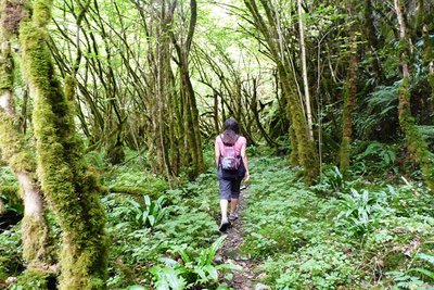 Chemin de la Cantère - © OT Cœur des Pyrénées