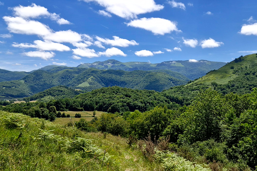 Vue sur le Signal de Bassia