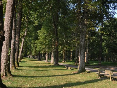La Plantade de La Barthe de Neste