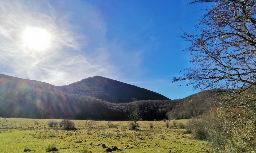 Paysage Tour du Bouchet