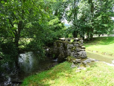 Bois de Laubagne